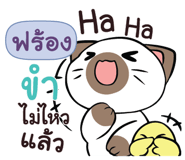 841091157