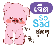 841091634