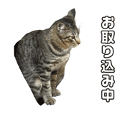 841091983