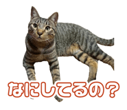 841091991