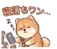 841092495