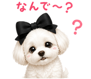 841092646