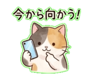 841092708