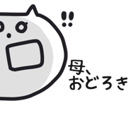 841093558