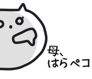 841093559