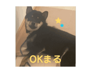 841093807