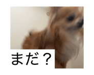 841093977