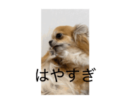 841093982