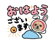 841094310