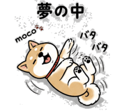 841098551
