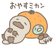 841098616