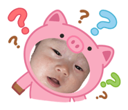841098646