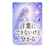841099956