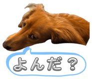 841100026