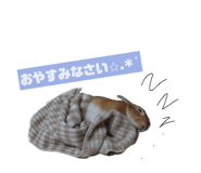 841100052