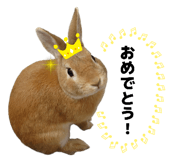 841100069