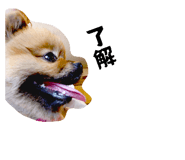 841100221