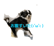 841101115