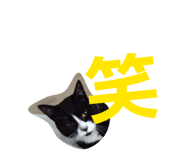841101245