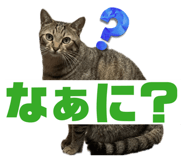 841101445