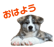 841101489