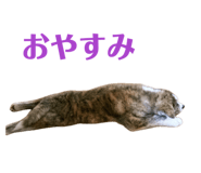841101490