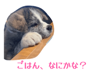 841101493