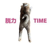 841101495