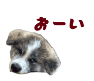 841101499