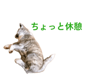 841101500