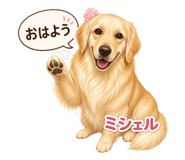 841101785