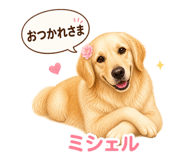841101795