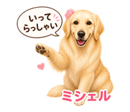 841101797