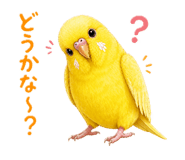 841102187