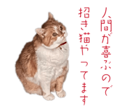 841102229