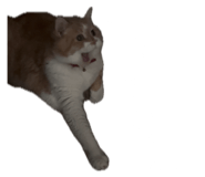 841102241