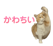 841102250