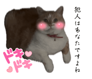 841102256