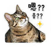 841102277