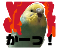 841102761