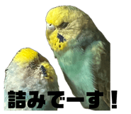 841102763