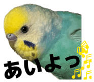 841102768