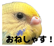 841102770