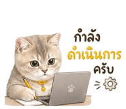 841110972