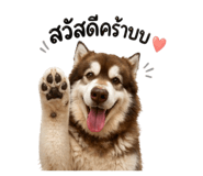 841110973