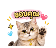 841110994