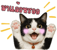841111279