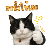 841111280