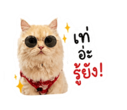 841111428