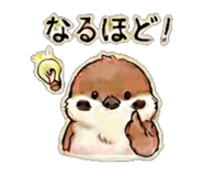 841111629